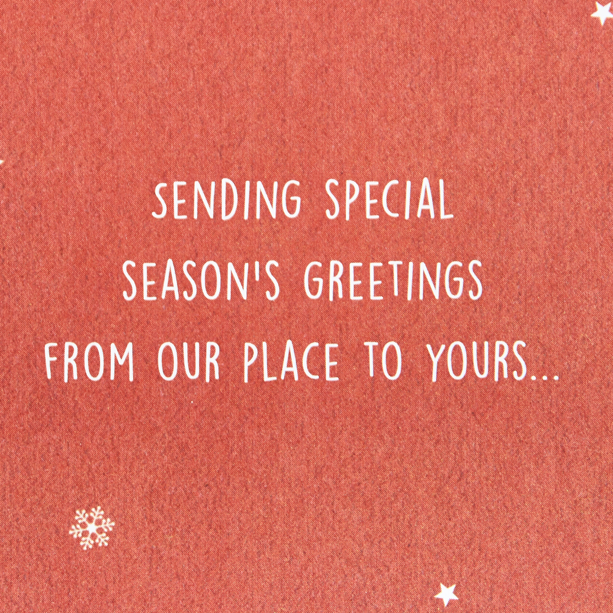 Christmas Card - Our House To Yours Foxes